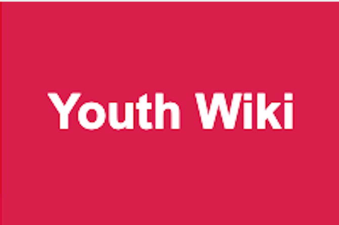 Youth work, un aggiornamento da Youth Wiki